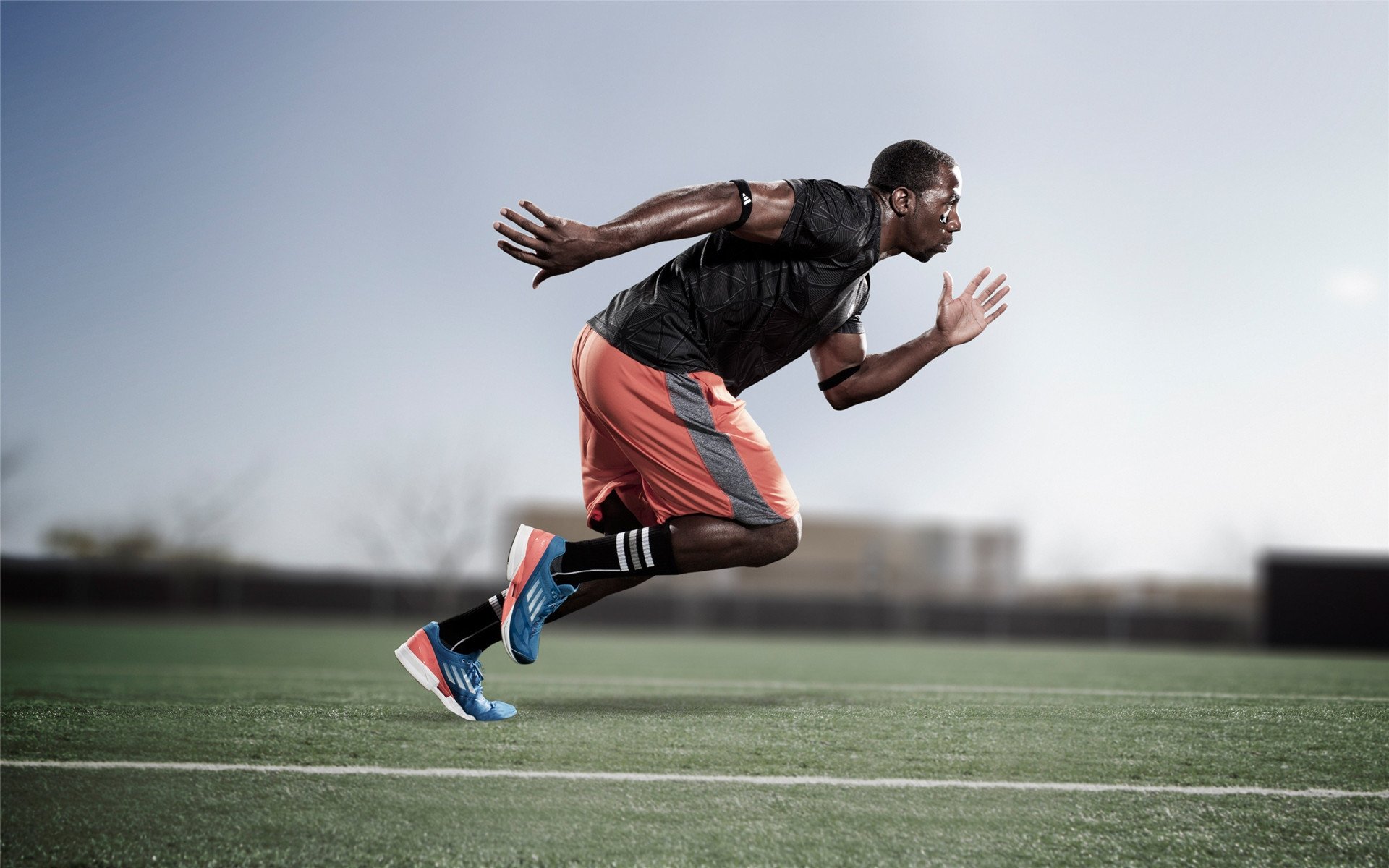 赛场双雄，公牛稳胜浙江，哈利伯顿F1赛道强势接管